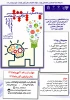 فراخوان ارسال مقالات در مجله علمی و پژوهشی کارافن 2