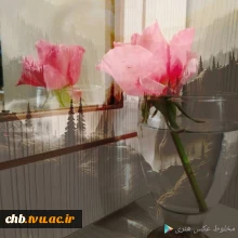 عکاسی و ساخت کلیپ با گوشی اندروید