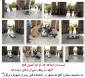 سوم خرداد سالروز آزادسازی خرمشهر، روز مقاومت، ایثار و پیروزی مبارک باد