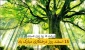روز درختکاری مبارک باد
