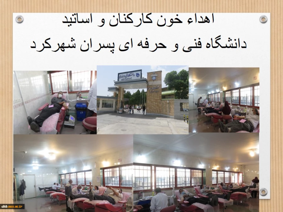 اهداء خون کارکنان و اساتید دانشگاه فنی و حرفه ای پسران شهرکرد 2