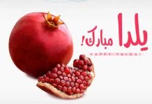 یلدا یعنی باور کنیم حتی طولانی ترین شب نیز
به طلوع خورشید خواهد رسید …
شب یلدا مبارک 2
