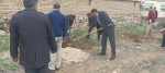 بزرگداشت روز شهدا و هفته درختکاری در دانشگاه فنی و حرفه ای استان چهار محال و بختیاری  7