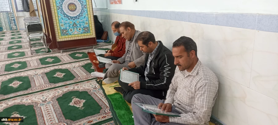 ولادت با سعادت کریم اهل بیت ، امام حسن مجتبی (ع) بر همگان مبارک باد 3