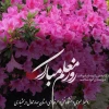 متن پیام ریاست دانشگاه فنی و حرفه ای استان به مناسبت روز معلم 2