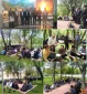 حضور بیش از 200 نفر از اساتید و همکاران شاغل و بازنشسته دانشگاه فنی  وحرفه ای استان در اردوی تفریحی و سیاحتی پارک سرچشمه فرخشهر و موزه  تاریخ طبیعی تنگ صیاد استان چهارمحال و بختیاری
