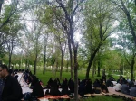 حضور بیش از 200 نفر از اساتید و همکاران شاغل و بازنشسته دانشگاه فنی  وحرفه ای استان در اردوی تفریحی و سیاحتی پارک سرچشمه فرخشهر و موزه  تاریخ طبیعی تنگ صیاد استان چهارمحال و بختیاری   5