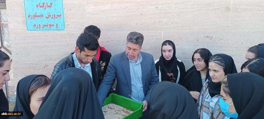 بازدید دانشجویان آموزشکده ملی مهارت دختران شهرکرد از دستاورد های اساتید و دانشجویان آموزشکده کشاورزی شهرکرد 4